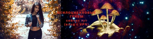 Альфа ПВП Осташков