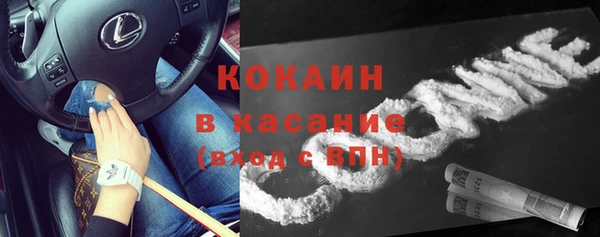 стафф Пересвет