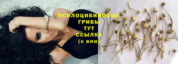 jwh Осинники