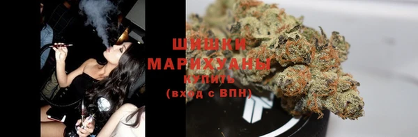 индика Переславль-Залесский