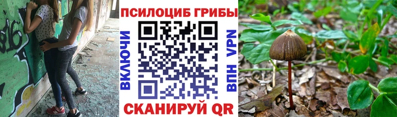 Галлюциногенные грибы Magic Shrooms  Спасск-Рязанский 